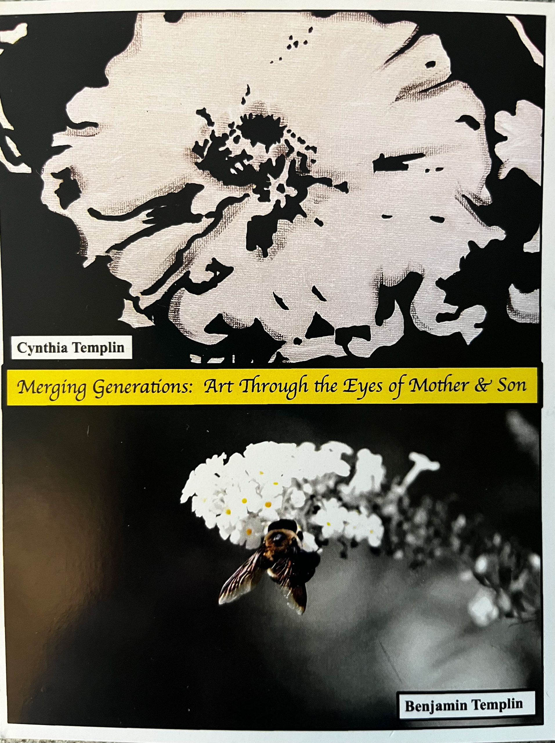 Lebanon Valley Council on the Arts Celebrating the Arts in the